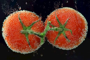 覆冰霜的双生番茄