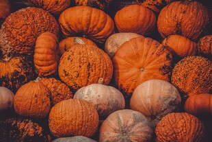 多彩南瓜堆 秋日氛围感