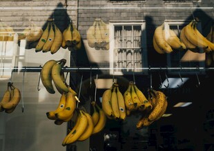 悬挂售卖的成串新鲜香蕉