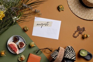 夏日户外野餐布置小景