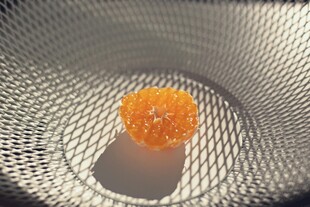 金属网中的橙色物体