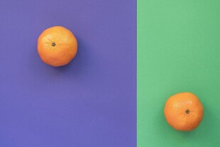 双色背景上的两颗橙子