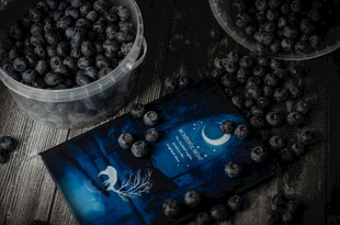 蓝莓旁的梦幻星空卡片