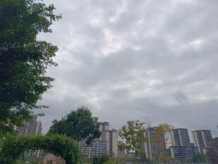 阴天城市景观