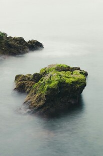 海面上覆绿苔的孤立岩石