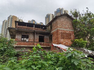 废弃老房被绿植环绕