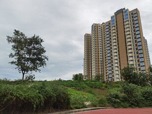 高楼旁的绿植景观