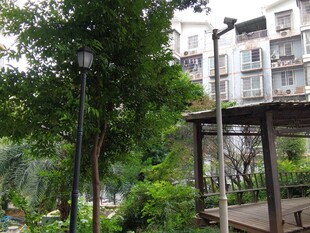 小区内的凉亭绿植景观