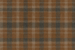 棕色格子纹理图案