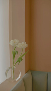 窗边素雅白郁金香花瓶