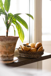 窗边绿植与面包的温馨场景