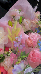 缤纷多彩鲜花组合