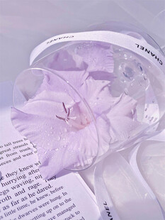 紫色花朵置于书页之上