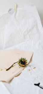 简约风松果配饰静物图