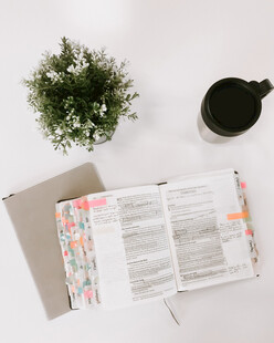 清新办公桌面文具绿植组合