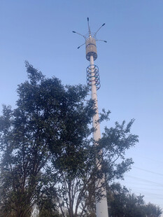 高耸通信塔与周边树木