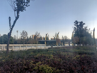 户外自然风光绿植景观