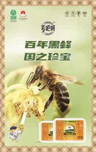 百年蜜蜂国之宝海报