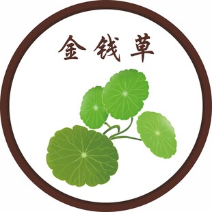 金钱草