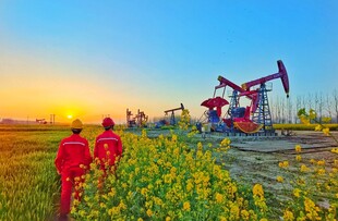 油田风光