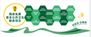 国家免费基本卫生服务项目