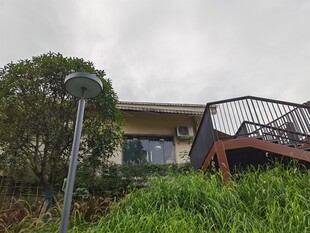 户外绿植环绕的住宅一角