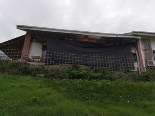 乡村老旧房屋绿植相伴