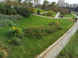 城市中的蜿蜒花园小径