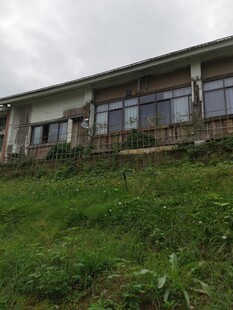 乡村小屋坐落在绿意之中