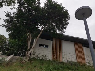 户外小屋旁的树木与灯柱