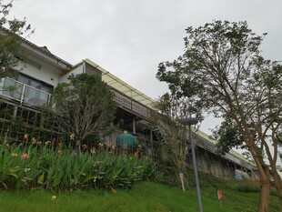 山坡上的绿植环绕建筑