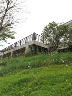 山坡上的建筑与绿意