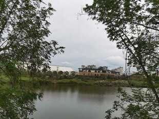 湖畔绿树环绕的静谧风光