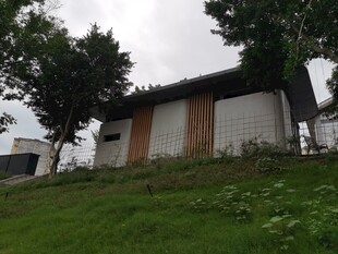 乡村小屋绿树环绕的景致