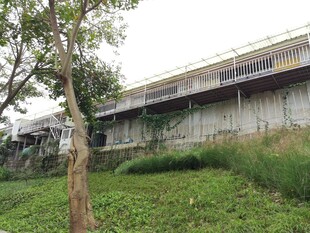 户外厂房旁的绿植与树木