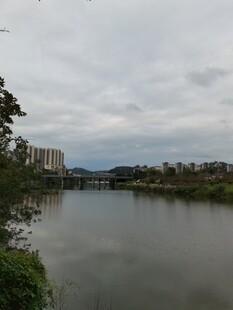 河畔城市风光静谧水域