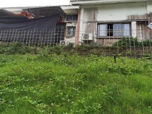 庭院草地旁的老旧房屋