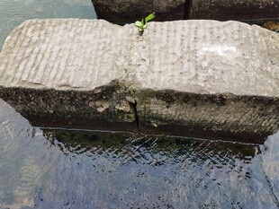 古老石桥横跨潺潺流水