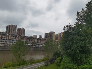 河畔城市风光绿树相伴