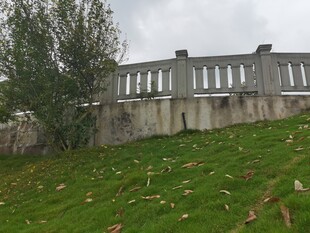 古老石墙旁的翠绿草地