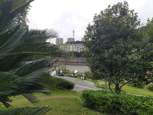 园林景观中的绿植与水景
