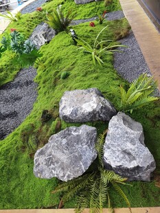 苔藓岩石景观造景艺术