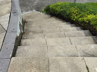户外石阶与绿植景观