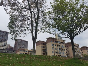 小区绿植与建筑景观