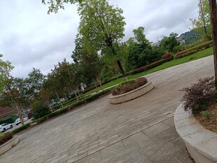 户外休闲的静谧庭院景观