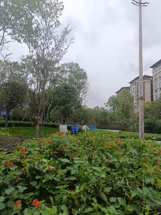 公园绿植旁的劳动者