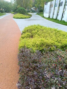 城市中的多彩绿化景观