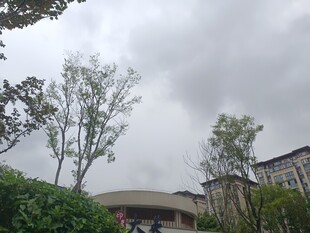 阴天里的校园建筑与树木