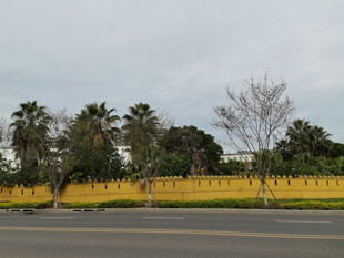 黄色围栏旁的树木景观