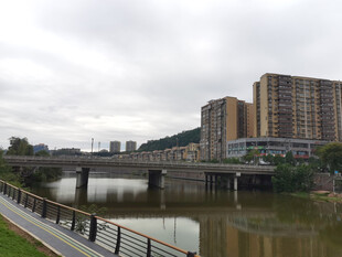 河畔城市风光桥梁与建筑